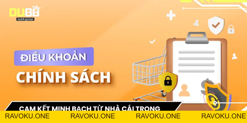 Điều Khoản Sử Dụng - Bảo Vệ Quyền Lợi Và Minh Bạch - RAVOKU