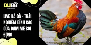 DU88 – Top 1 Nhà Cái Cá Cược Trực Tuyến Uy Tín - RAVOKU