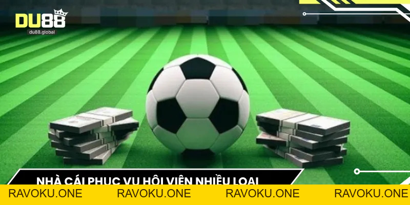 Cách Đọc Kèo Rung DU88 – Bí Quyết Theo Dõi Biến Động Tỷ Lệ - RAVOKU