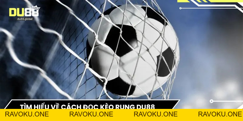 Cách Đọc Kèo Rung DU88 – Bí Quyết Theo Dõi Biến Động Tỷ Lệ - RAVOKU