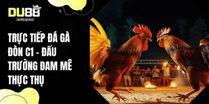 DU88 – Top 1 Nhà Cái Cá Cược Trực Tuyến Uy Tín - RAVOKU