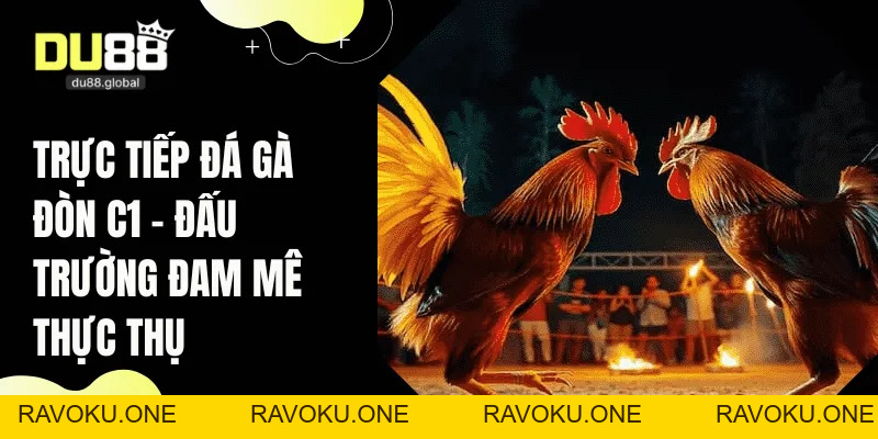 Trực Tiếp Đá Gà Đòn C1 – Đấu Trường Đam Mê Thực Thụ - RAVOKU